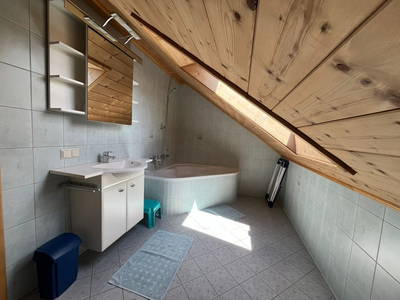 Bild 65 aus  Reitbauernhof Ferner