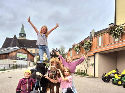 Bild 109 aus  Seyerlehnerhof