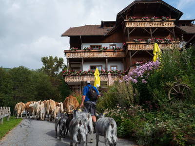 Bild 75 aus  Familienhotel-Gasthof Hinteregger