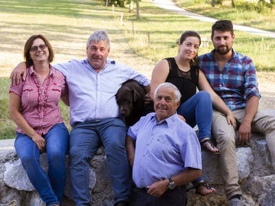 Bild 9 aus  Waldhof Grasel