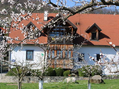 Bild 2 aus  Ferienwohnungen Seitner