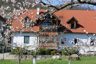 Ferienwohnungen Seitner aus Spitz