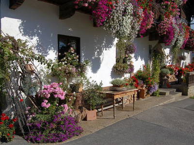 Bild 30 aus  Stillinghof