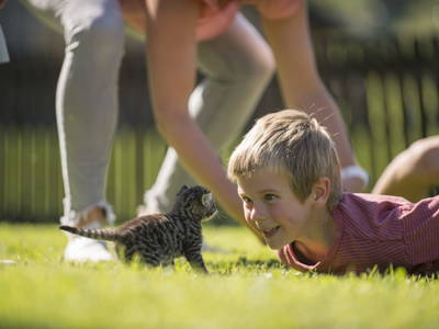 Bild 59 aus  Ferienwohnungen Ranstl