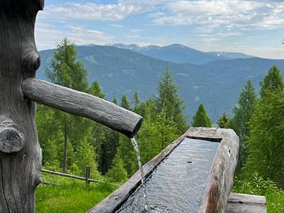 Bild 159 aus Neuwirth Hütte