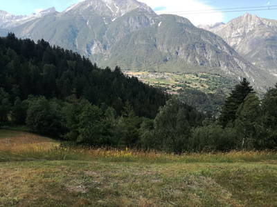 Bild 22 aus  Landhaus Zangerl - Kobelerhof