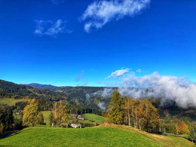 Bild 43 aus  Seewaldhof