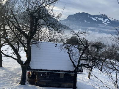 Bild 67 aus  Allamoarhof