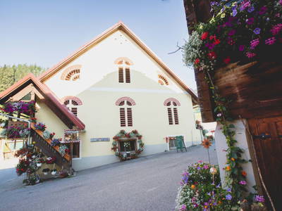 Bild 263 aus  Michlbauer