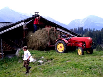 Bild 36 aus Berghof Burtscher