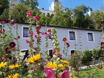Bild 40 aus Wein u. Wohnen
