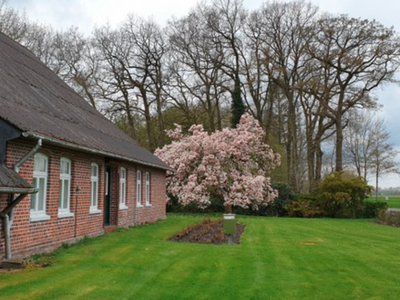 Bild 7 aus  Ferienhof Maaß