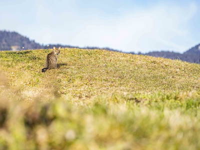 Bild 71 aus  Riedhof-Zuahaus