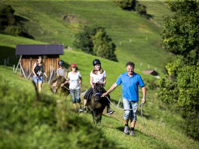 Bild 95 aus  Marteshof