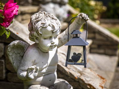 Bild 25 aus  Obergaunitschhof