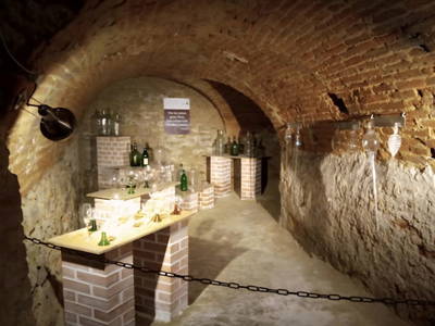 Bild 96 aus  Ferienhaus Weinviertel