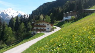 Ferienhof Wiesberg aus Schwendau