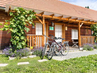 Bild 21 aus  Monschein Demeterweingut