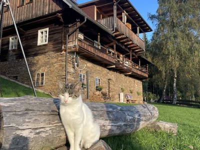 Bild 10 aus  Almhaus Bachler