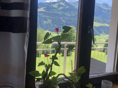 Bild 69 aus  Wengerbauer