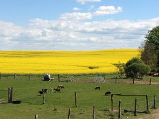 Hannas Ranch aus Kröpelin