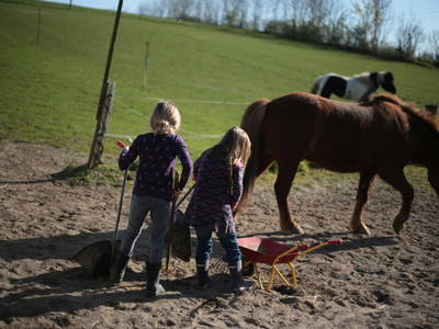 Bild 10 aus  OstseeBauernhof Schönhagen
