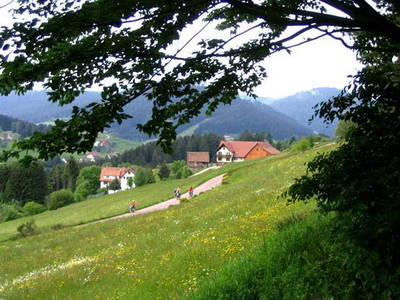 Bild 10 aus  Ferienhaus Labbronnerhof