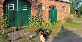 Hof Hospitalmühle aus Neustadt (Holstein)