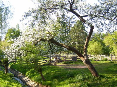 Bild 7 aus  Hof Gerina