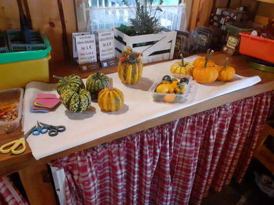 Bild 15 aus  LandSelection Drewes-Hof