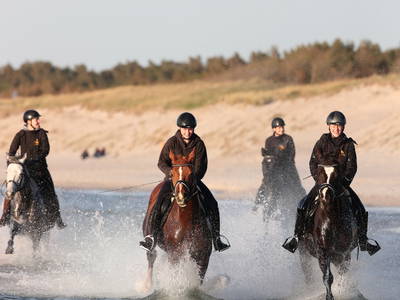 Bild 18 aus  Bernsteinreiter Hirschburg