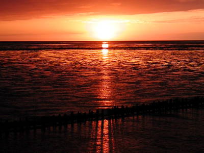 Bild 16 aus  Bioland - Bauernhof Andreßen