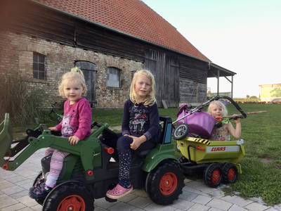 Bild 11 aus  Müritz-Hof Knust