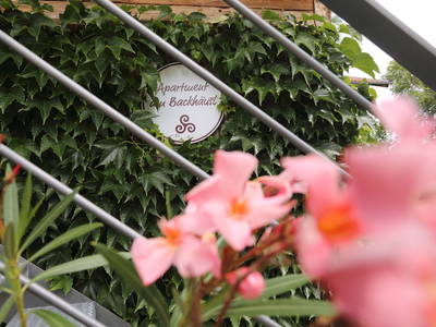 Treppenaufgang zum Apartment "Am Backhäusl"