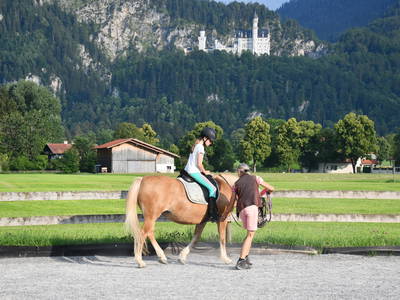 Bild 48 aus  Augustinerhof