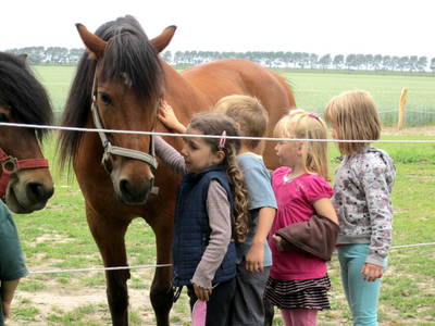 Bild 11 aus  Bioland - Bauernhof Andreßen