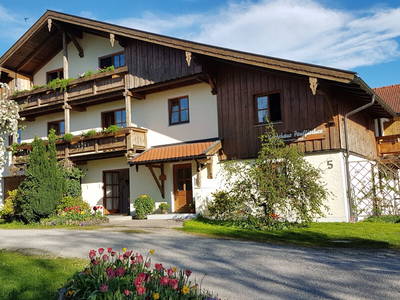 Bild 7 aus  Beim Paulfischer direkt am Chiemseeufer