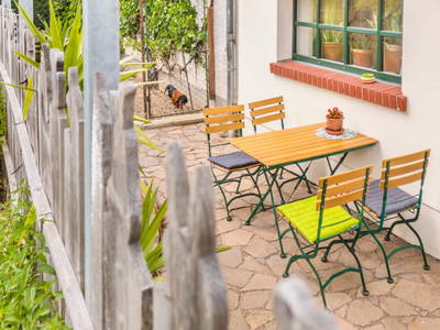 Terrasse Birke mit Blick auf den Hühnerauslauf