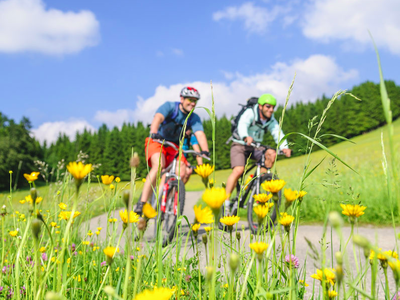 Bild 15 aus  Ferienwohnungen Seehof am Waginger See