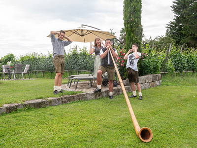 Bild 12 aus  Obst- und Ferienhof Gomeringer