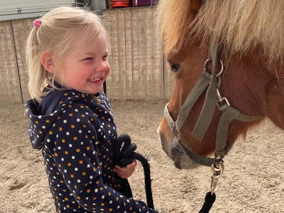 Bild 29 aus  Ponyhof Goldenstein