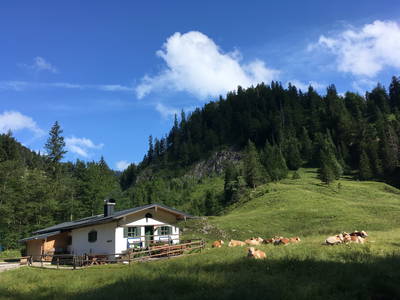 Bild 8 aus  Cölestinhof