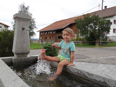 Bild 17 aus  Ferienhof Herz im Oberallgäu