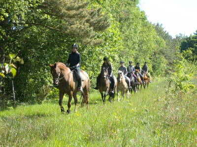 Ausritt im Schafhauser Wald