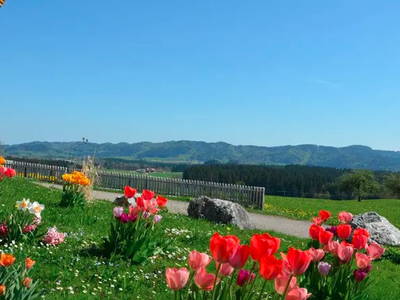 Bild 6 aus  Bengelhof