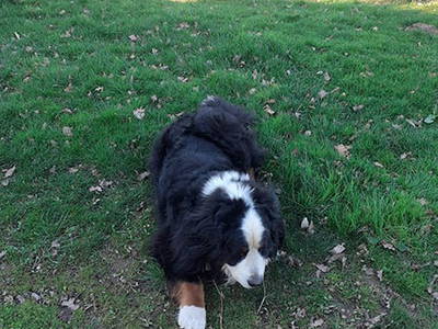 Bild 9 aus  Weberhof