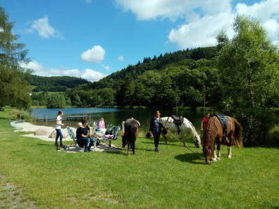 Bild 42 aus  Familienbauernhof Faß