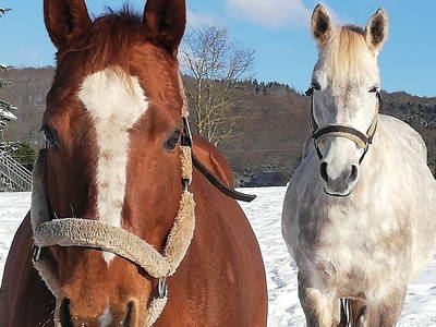 Bild 40 aus  Marienhof