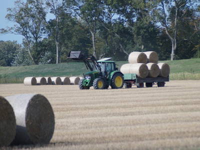 Bild 20 aus  Landhaus Ibs, direkt an der Nordsee
