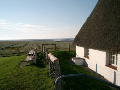 Hallig Krog auf der Hamburger Hallig